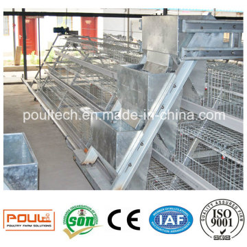 Best Price Galvanized Pullet Cages for Small Chicks